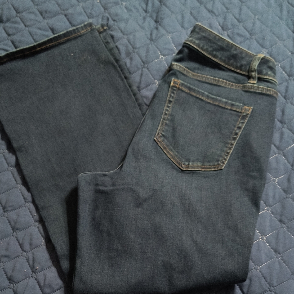 Lane Bryant Deep Indigo Denim